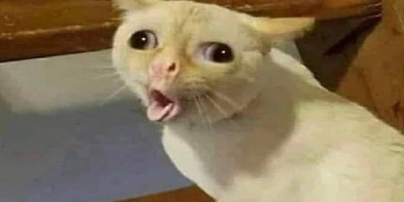 How Kids Cough Meme