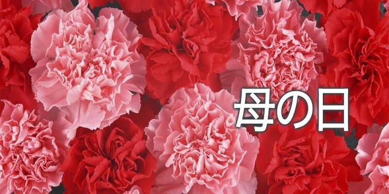 How To Say Happy Mother'S Day In Japanese