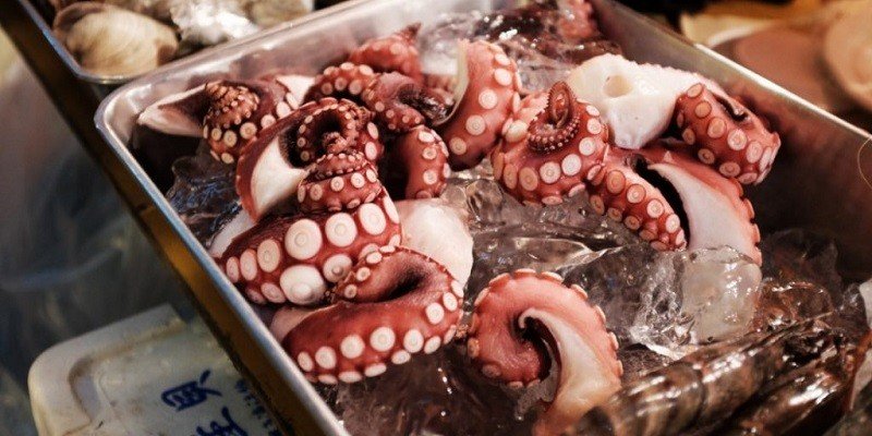 Can Pregnant Women Eat Octopus
