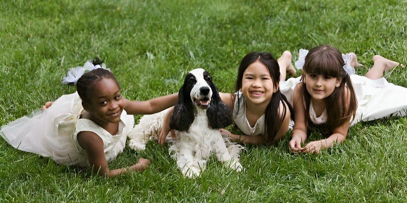 Are Cocker Spaniels Good With Kids