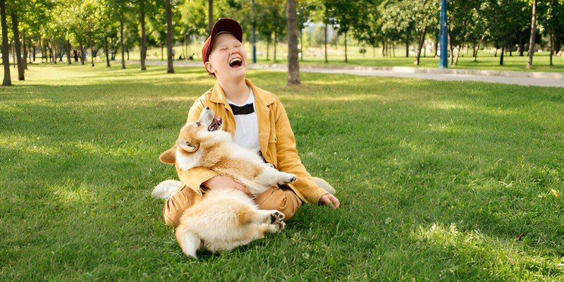 Are Corgis Good With Kids