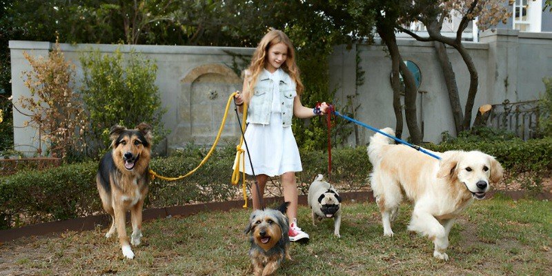 Are German Shepherds Good With Kids
