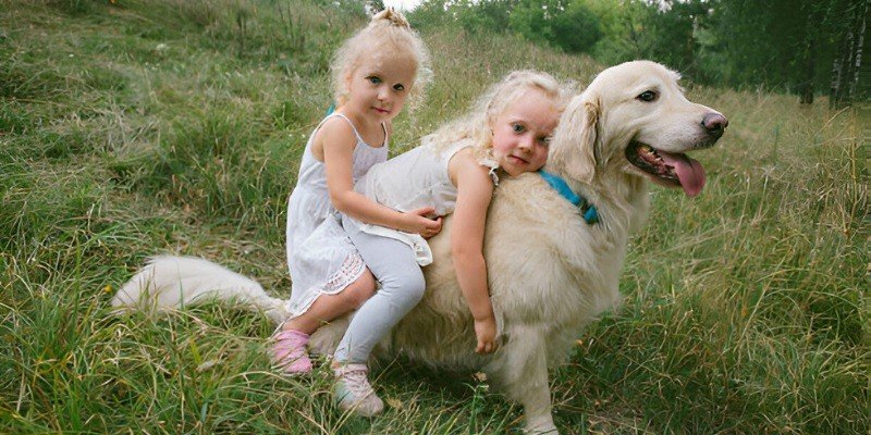 Are Great Pyrenees Good With Kids