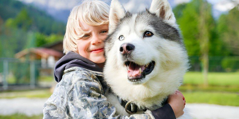 Are Huskies Good With Kids