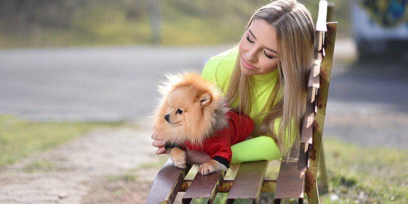 Are Pomeranians Good With Kids