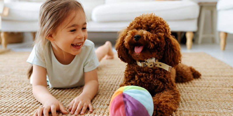 Are Poodles Good With Kids