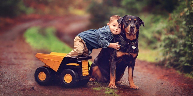 Are Rottweilers Good With Kids