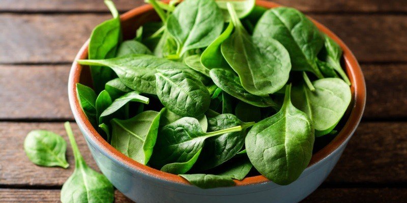 Can Babies Eat Spinach