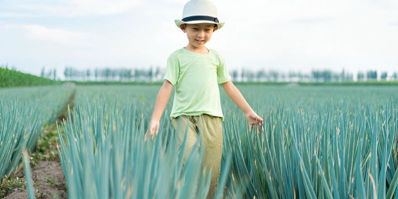 Can Babies Have Agave