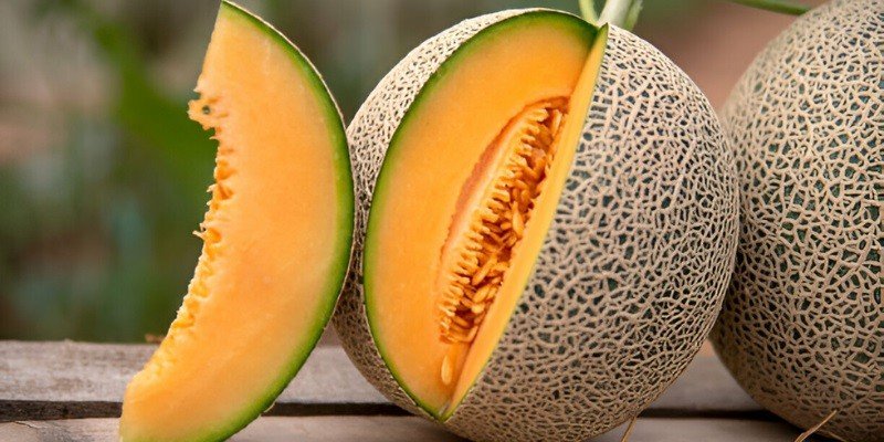 Can Babies Have Cantaloupe