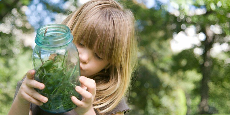 Can Kids Take Sea Moss