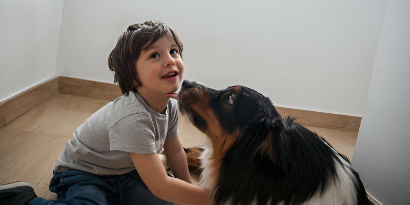 Are Australian Shepherds Good With Kids