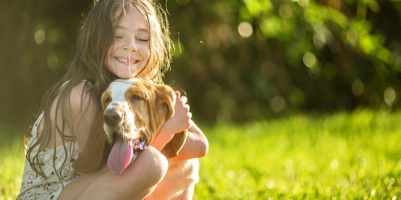 Are Basset Hounds Good With Kids
