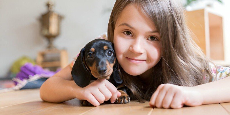 Are Dachshunds Good With Kids