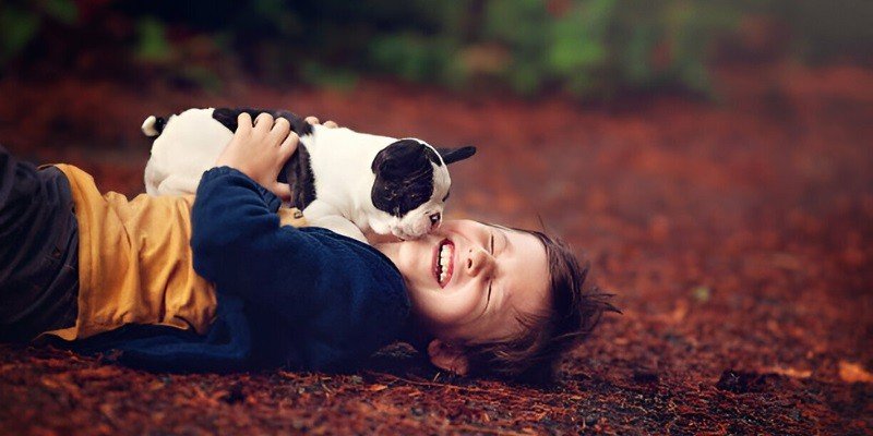 Are French Bulldogs Good With Kids
