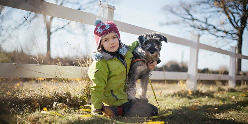 Are Schnauzers Good With Kids