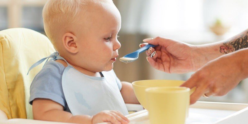 Can Babies Eat Cream Of Wheat