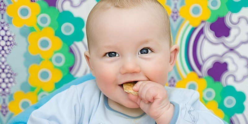 Can Babies Have Graham Crackers