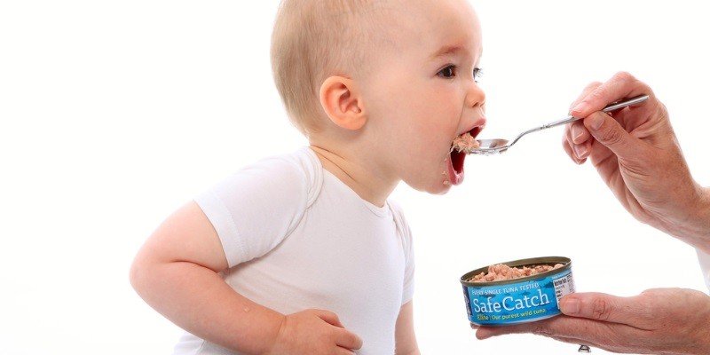 Can Babies Have Tuna