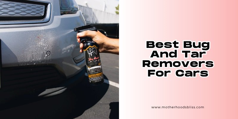 best bug and tar removers for cars