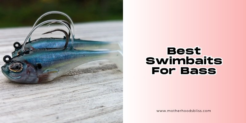 best swimbaits for bass