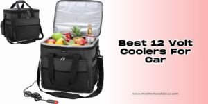 The 8 Best 12 Volt Coolers For Car Of 2026, Tested by Experts ...