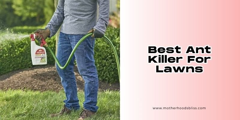 best ant killer for lawns