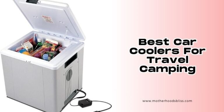 Top 8 Best Car Coolers For Travel Camping (2026), Tested and Reviewed ...