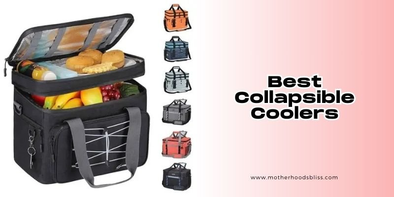 best collapsible coolers