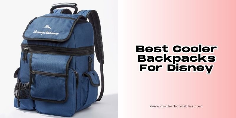 best cooler backpacks for disney