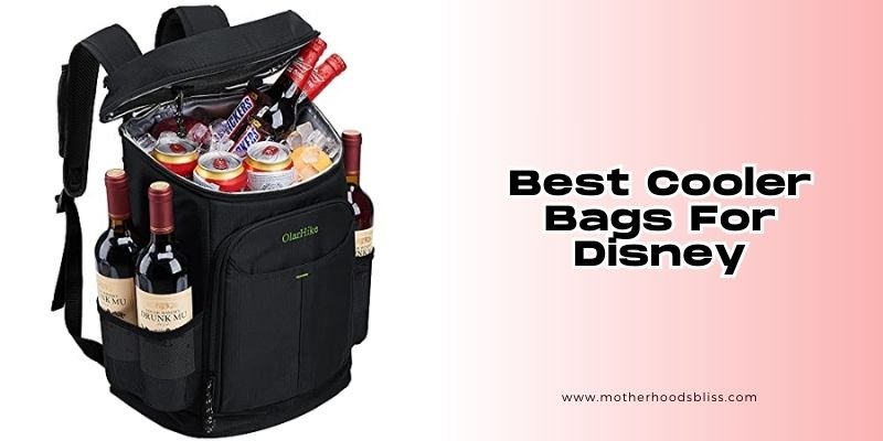 best cooler bags for disney
