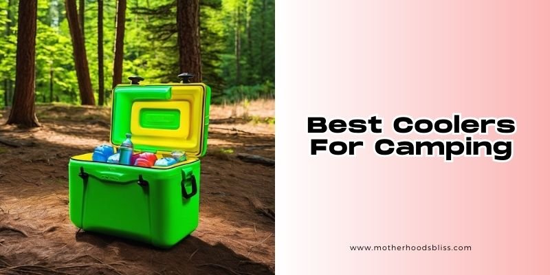 best coolers for camping
