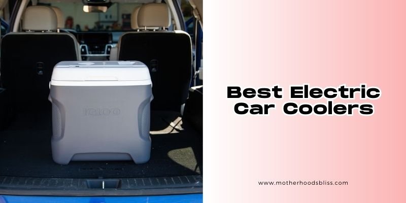 best electric car coolers