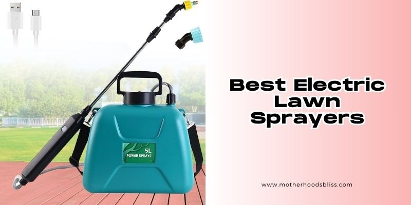 best electric lawn sprayers