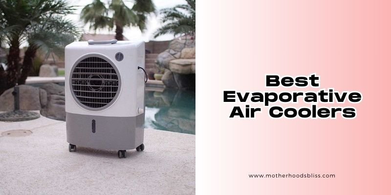 best evaporative air coolers