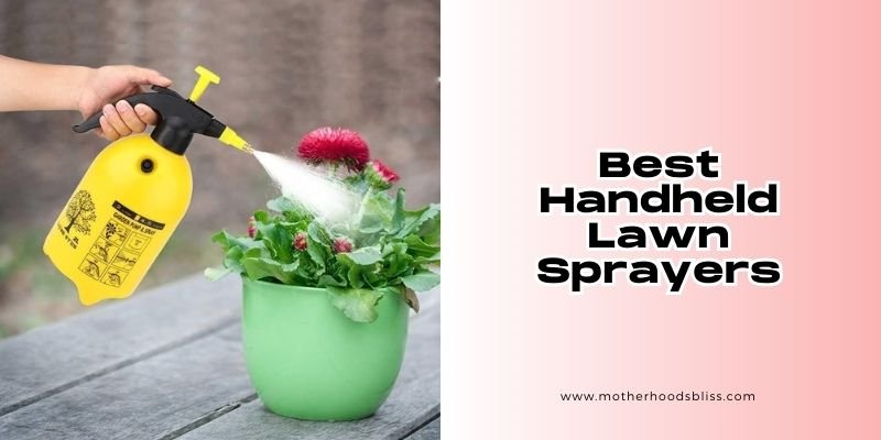 best handheld lawn sprayers