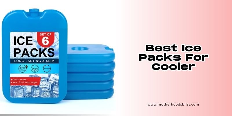 best ice packs for cooler