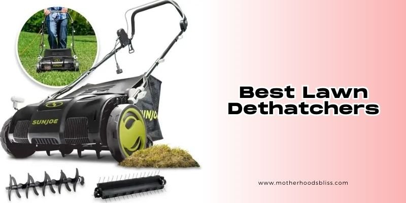 best lawn dethatchers