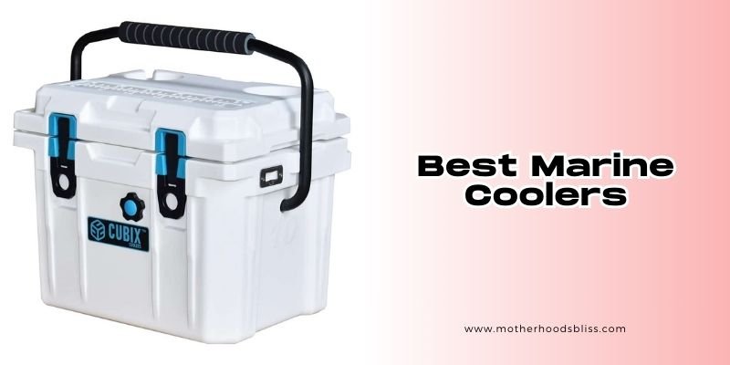 best marine coolers