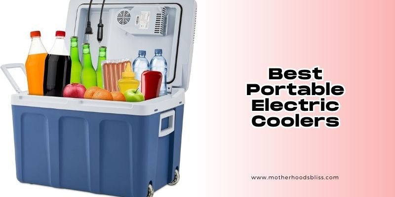 best portable electric coolers
