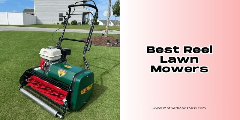best reel lawn mowers