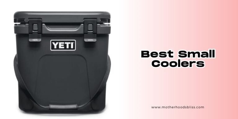 The 8 Best Small Coolers In 2026 - Motherhood’s Bliss