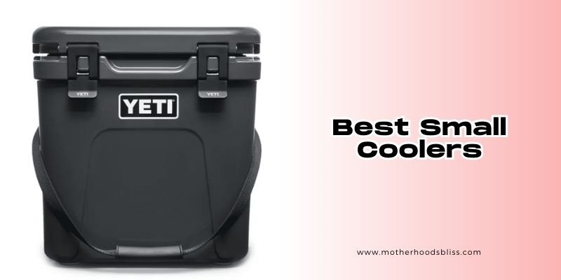 best small coolers
