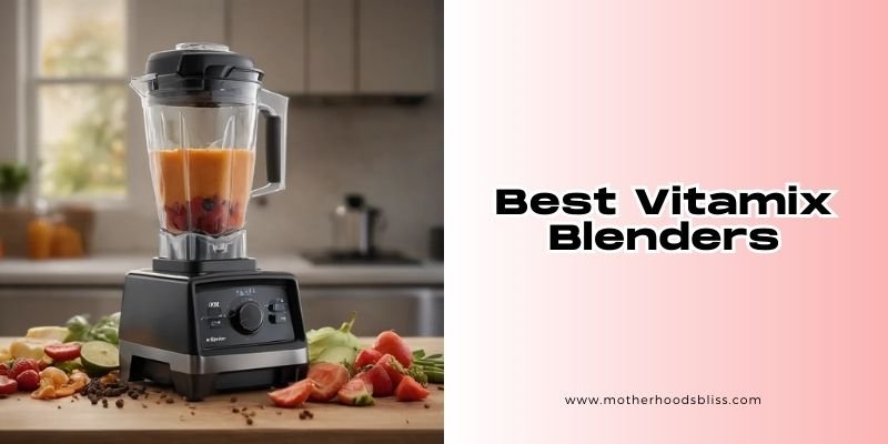 best vitamix blenders