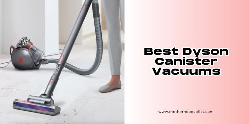 best dyson canister vacuums